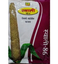 PearlMillet / Bajra Swati No-86